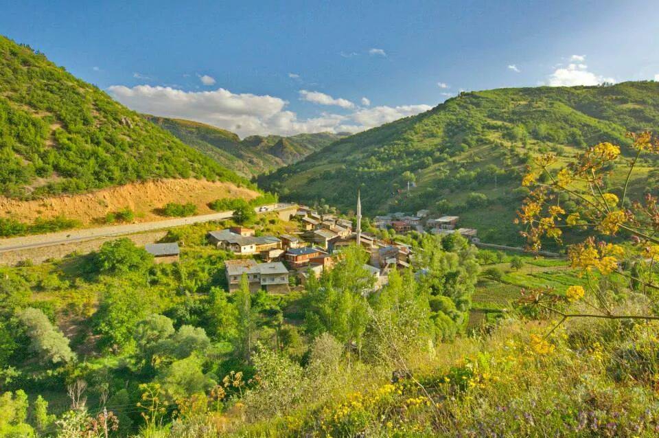 Şiran Yeniköy Köyü Resimleri 3