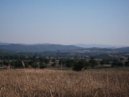 İvrindi Bozören Köyü Resimleri 4