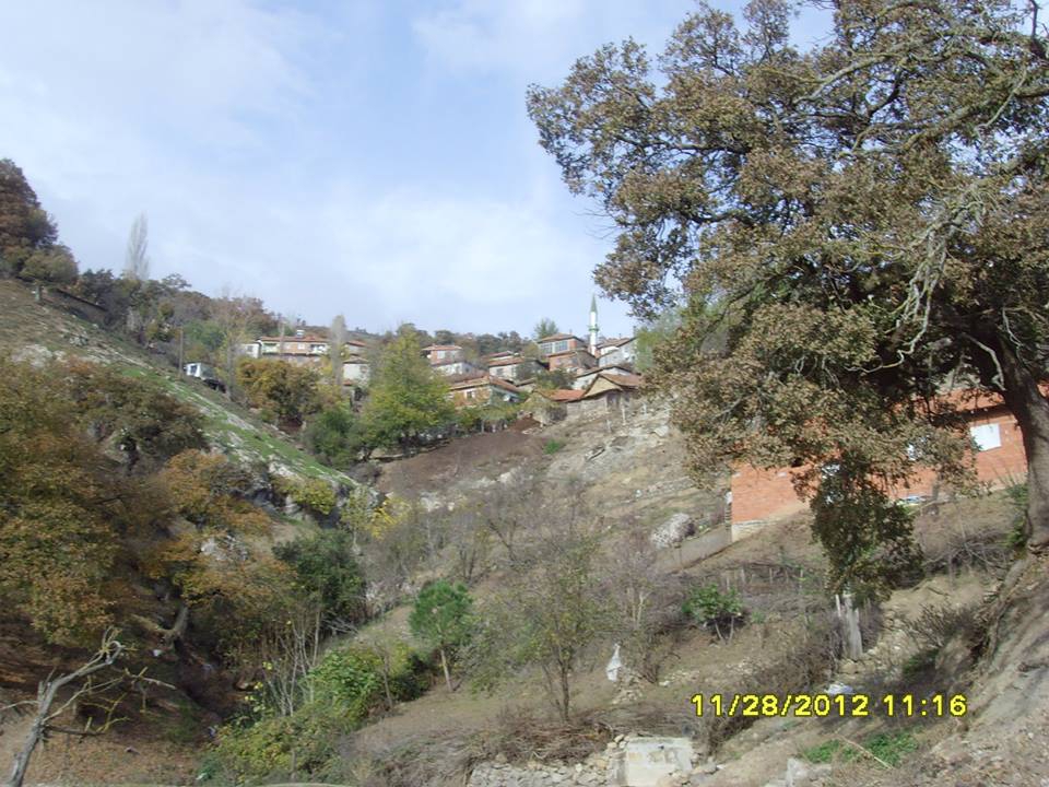 İvrindi Büyükılıca Köyü Resimleri 2