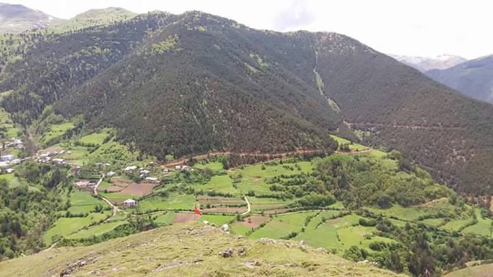 Torul Arpalı Köyü Resimleri 1