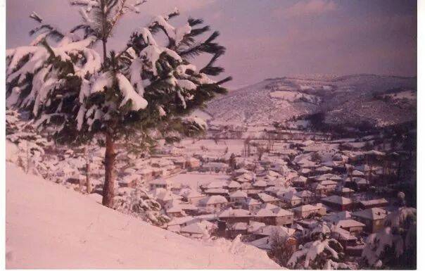 İvrindi Çarkacı Köyü Resimleri 2
