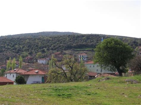 İvrindi Çatalan Köyü Resimleri 6