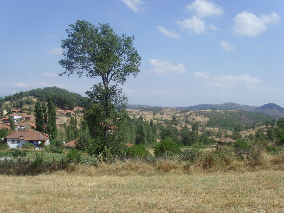 İvrindi Çiçekli Köyü Resimleri 2