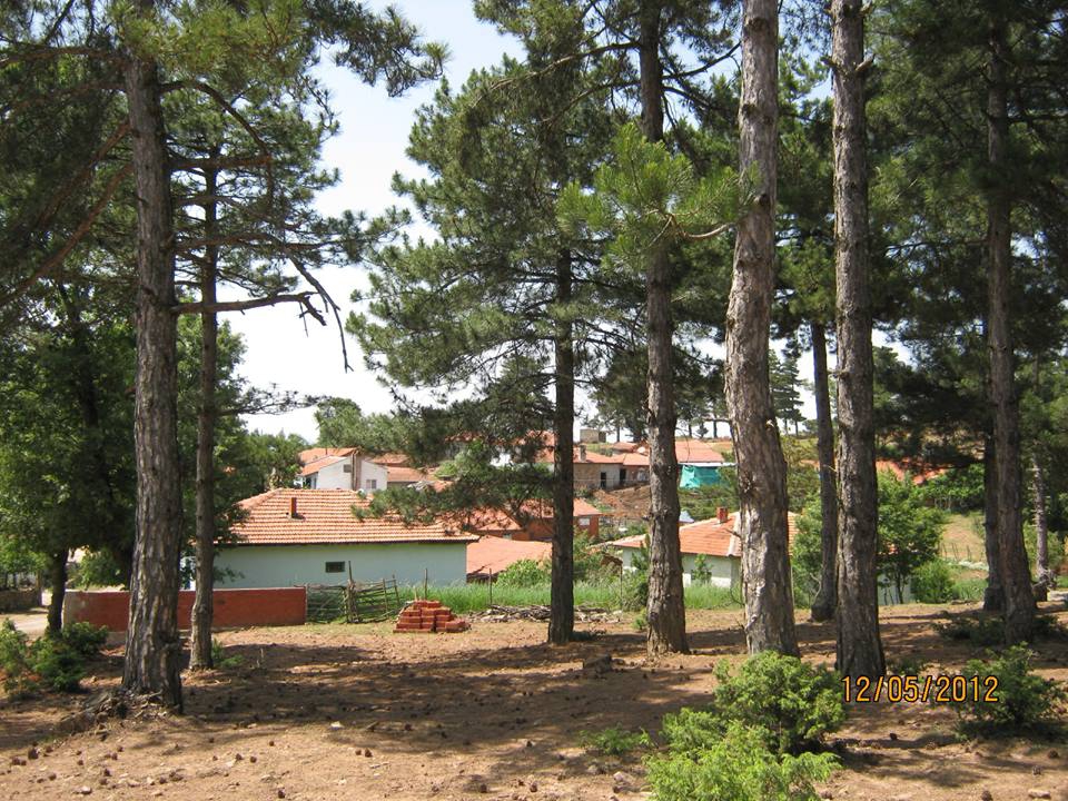 İvrindi Gökçeyazı Köyü Resimleri 3