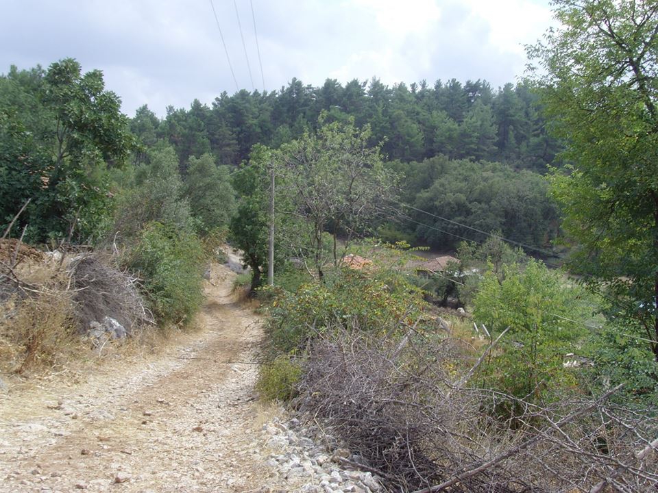 İvrindi Kaşağıl Köyü Resimleri 5