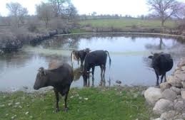 Ayvacık Tamış Köyü Resimleri 6