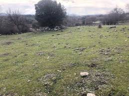 Ayvacık Tartaşık Köyü Resimleri 4