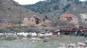 Ayvacık Tuzla Köyü Resimleri 9