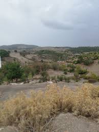 Ayvacık Yeniçam Köyü Resimleri 5