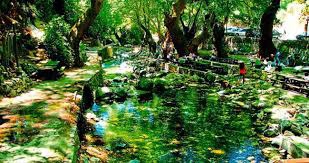 Ayvacık Yeşilyurt Köyü Resimleri 4