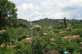 Bayramiç Gedik Köyü Resimleri 5