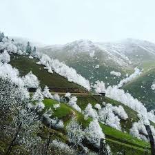 Bayramiç Akpınar Köyü Resimleri 4