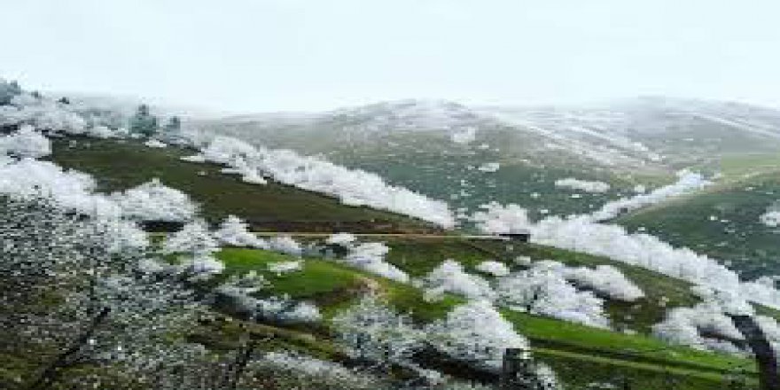 Bayramiç Akpınar Köyü Resimleri