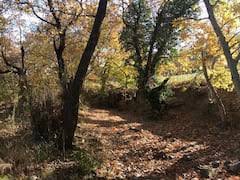 Bayramiç Alikabaklar Köyü Resimleri 9