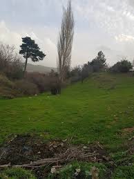 Bayramiç Aşağışevik  Köyü Resimleri 1