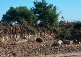 Bayramiç Aşağışevik  Köyü Resimleri 3