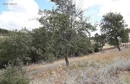 Bayramiç Bekirler Köyü Resimleri 5