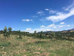 Bayramiç Bıyıklı Köyü Resimleri 2