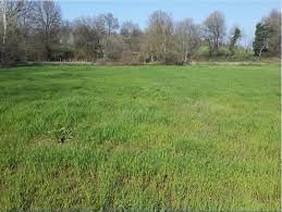 Bayramiç Bıyıklı Köyü Resimleri 3