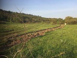 Bayramiç Bıyıklı Köyü Resimleri 4