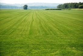 Bayramiç Bıyıklı Köyü Resimleri 5