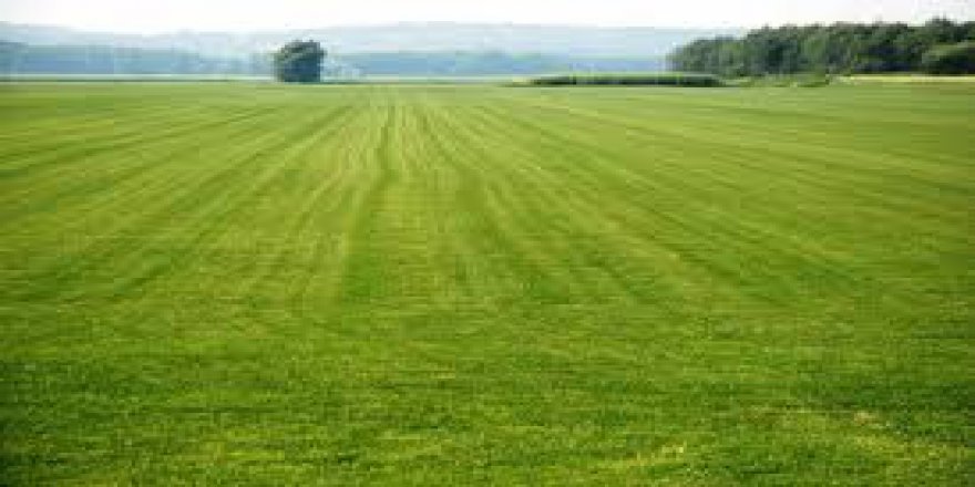 Bayramiç Bıyıklı Köyü Resimleri