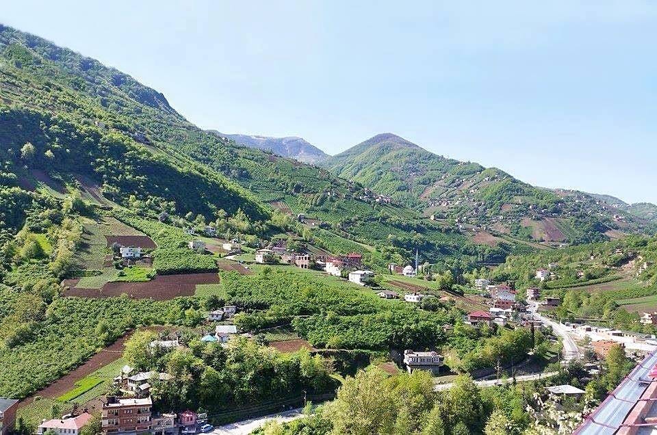 Akçaabat Doğanköy Resimleri 10