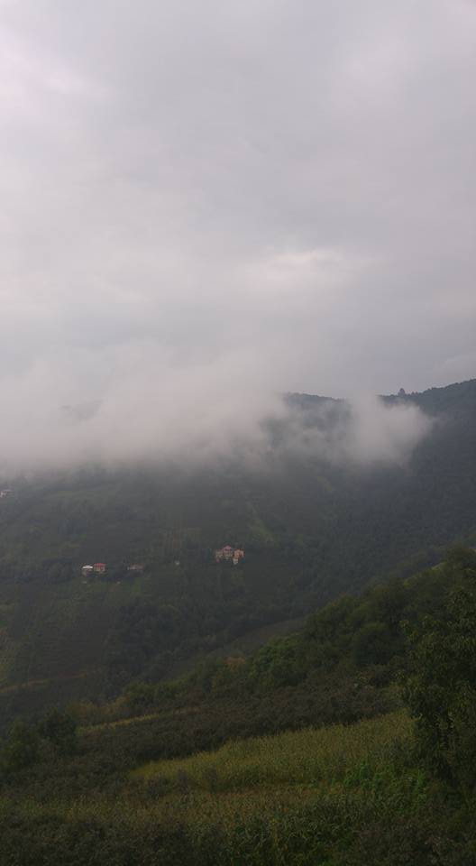 Akçaabat Doğanköy Resimleri 2