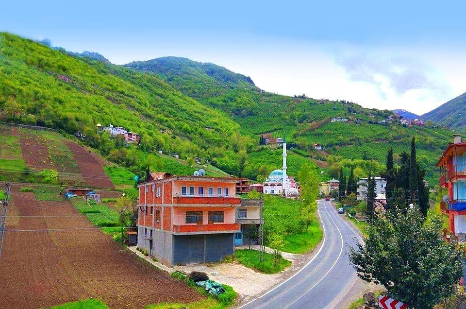 Akçaabat Doğanköy Resimleri 4