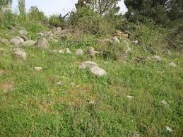 Bayramiç Çalıdağı Köyü Resimleri 1