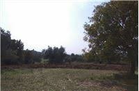 Bayramiç Çatalçam Köyü Resimleri 3