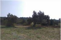 Bayramiç Çatalçam Köyü Resimleri 4