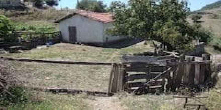 Bayramiç Çavuşköy Köyü Resimleri