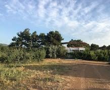 Bayramiç Çiftlikköy Köyü Resimleri 5