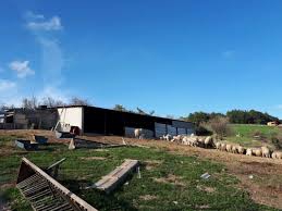 Bayramiç Dağahmetçe Köyü Resimleri 1