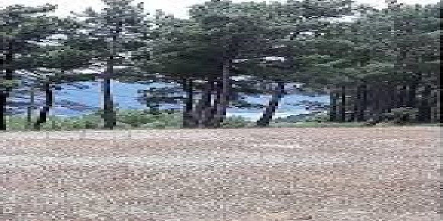 Bayramiç Dağahmetçe Köyü Resimleri