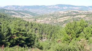 Bayramiç Dağoba Köyü Resimleri 1