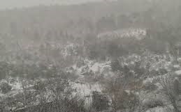 Bayramiç Dağoba Köyü Resimleri 4