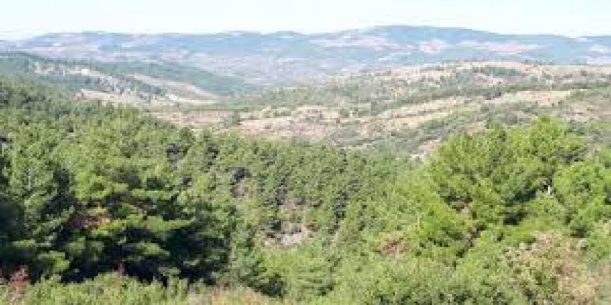 Bayramiç Dağoba Köyü Resimleri