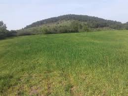 Bayramiç Daloba Köyü Resimleri 3