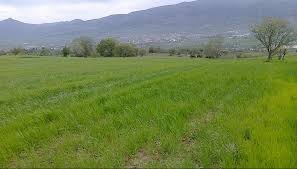 Bayramiç Doğancı Köyü Resimleri 5