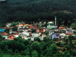 Bayramiç Evciler  Köyü Resimleri 1