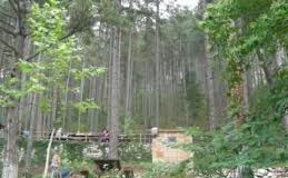 Bayramiç Evciler  Köyü Resimleri 5