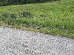 Bayramiç Gökçeiçi  Köyü Resimleri 2