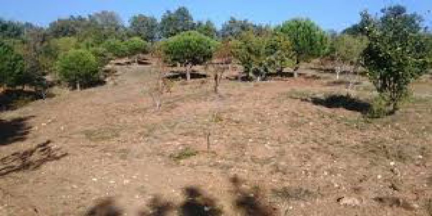 Bayramiç Gökçeiçi  Köyü Resimleri