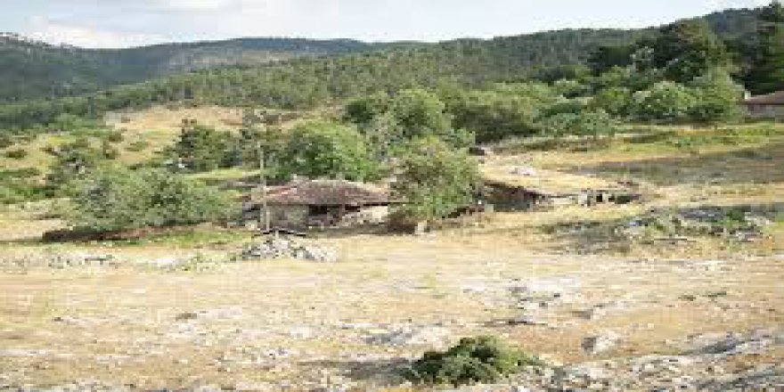 Bayramiç Güvemcik Köyü Resimleri