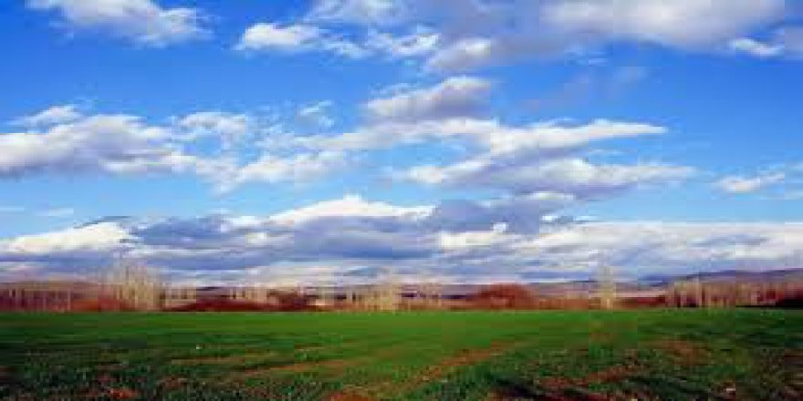 Bayramiç Güzeltepe Köyü Resimleri