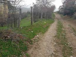 Bayramiç Hacıdervişler  Köyü Resimleri 2