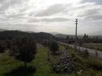 Bayramiç Hacıköy Köyü  resimleri 2