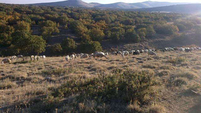 Kırşehir Karıncalı Köyü Resimleri 3